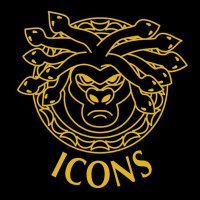 VΞrsacΞ Icons (@versace_icons) 's Twitter Profile