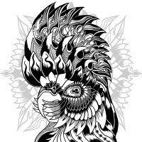 DeebDesigns (@deebdesignsnft) 's Twitter Profile