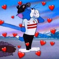 𝓣𝓪𝓻𝓮k 𝓮𝓵𝓢𝓪𝓲𝓯𝔂 (@tarekelsaifyy) 's Twitter Profile