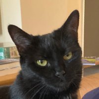 Helen Jones📕 (@hfj0108) 's Twitter Profile