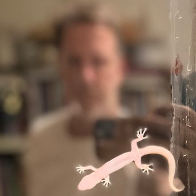 Simon Torok Profile