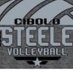 Steele Volleyball (@SteeleVball) Twitter profile photo