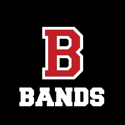 Bees Bands Profile