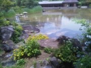 jdtocaa's profile picture. Girona