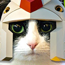 Matcony_Cat's profile picture. 