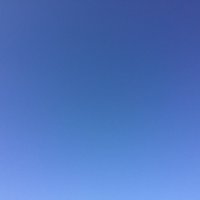 まゆくん (@study_phobia_) 's Twitter Profile