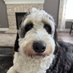Ryan Widmayer (@rwidzilla) Twitter profile photo Ryan Widmayer (@rwidzilla) Twitter profile photo