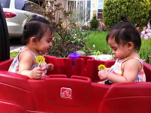 ahmad_jr's profile picture. Tweet Tweet