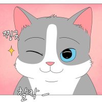 그래서 (@nananachoiae) 's Twitter Profile