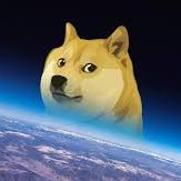 hi I am James #doge @Dima4doge @Snizhan4doge @racheldoge #dogecoin sub to me on YouTube T-rex James … #dogecointothemoon I am at 23 subs I guess...