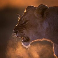 Agyemang- Badu Paul Gyakye (@gyakye_badu) 's Twitter Profile Photo Agyemang- Badu Paul Gyakye (@gyakye_badu) 's Twitter Profile Photo
