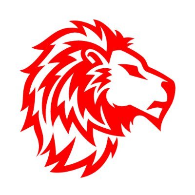LionBizAdvisors Profile Picture