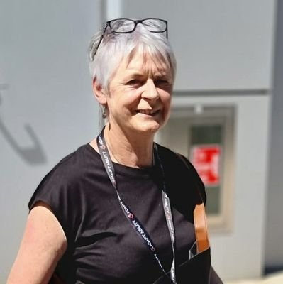 eibhlinnic's profile picture. Gaeilgeoir, librarian, open water swimmer, gig organiser, mamó, disability advocate