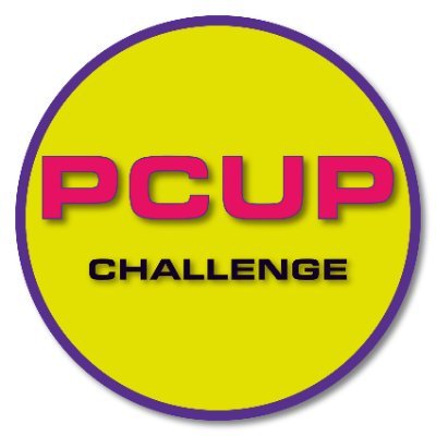 Porsche Cup Challenge
