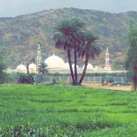 Abu Nasser Al-Shaqih (@tns8) Twitter profile photo