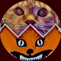 F͜͡O͜͡S͜͡O͜͡D͜͡A͜͡ (@fodaboy) 's Twitter Profile Photo