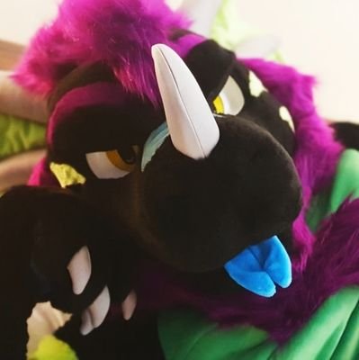 Fuzzy Dragon Dad |π Profile