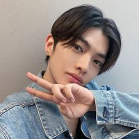 niqué (@hirayate) 's Twitter Profile