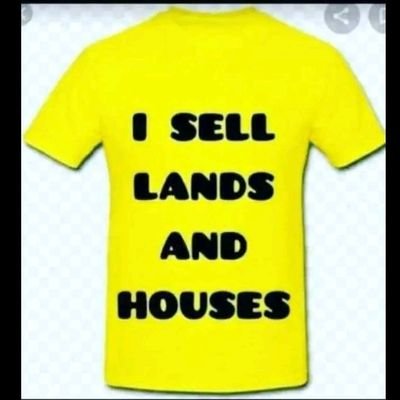 realtoraji's profile picture. Tax and Properties Consultant