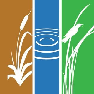 Society of Wetland Scientists