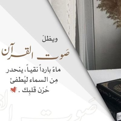 RababSadek4's profile picture. 