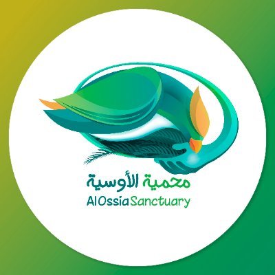 اول محمية طيور بالمدينه المنوره 🕌 طبيعة 🌿 ومطر ☔️ وطيور 🦜 عيش معنا تجربة مختلفة 👌🏻😍 ' الحجز مسبق على الواتساب 0503000907