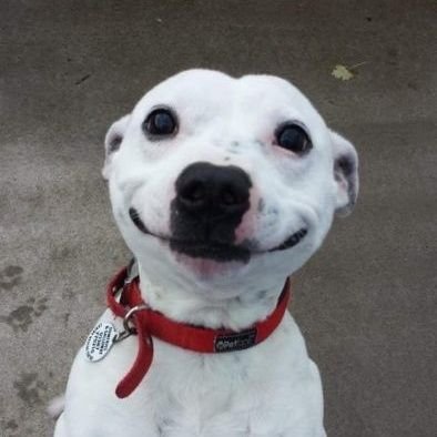 maineimisDani's profile picture. Que soy un fosforito dice mi mami