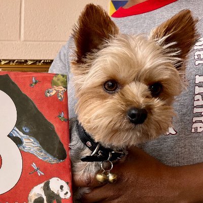 We are a prek-5th grade school growing future leaders in the heart of the Bayview district! Max the Yorkie is our on-site star & support staff lead.