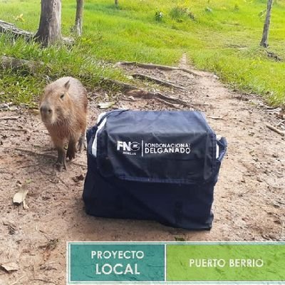 PLPuertoBerrio Profile Picture