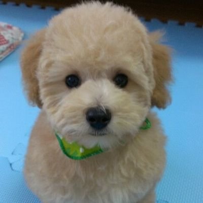 Twitter初心者です🔰業界引退後早くも一年半❗️今は平凡な日々をゆっくり過ごしてます