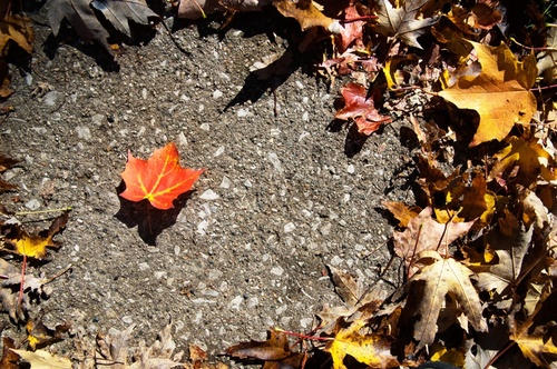 SomebodyArted's profile picture. #Global Public #Art Project for #Happiness. October's theme: #TerrifyinglyHappy. Organize Happiness w/ friends around the world! #OWS #Occupy #Anonymous #Love