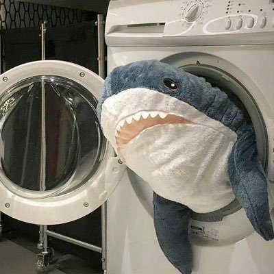 risky57677433's profile picture. 