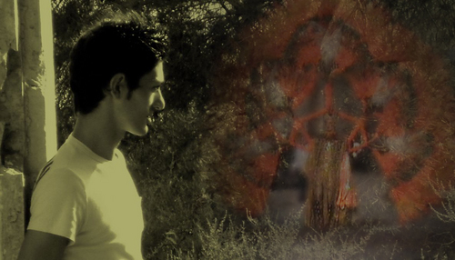 fmeca's profile picture. .....nadie