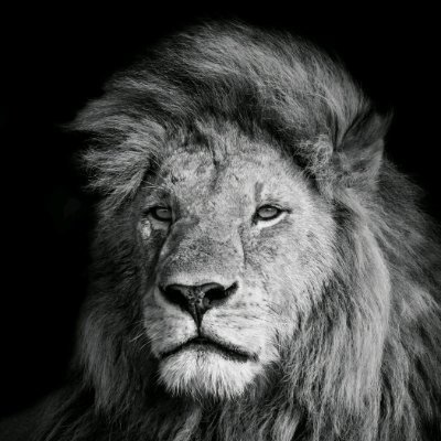 Adam88716469's profile picture. Do what is best for you,