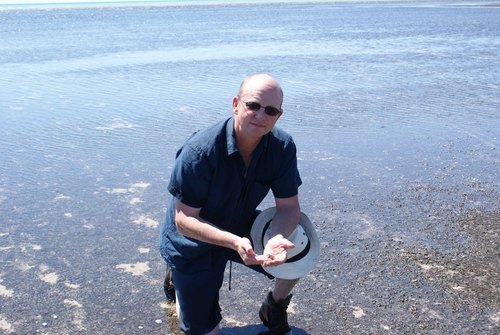 Coastal ecologist: microphytobenthos and biogenic stabilisation in depositional habitats, BEF and climate scenarios