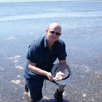 Dave Paterson (@marbef22) Twitter profile photo