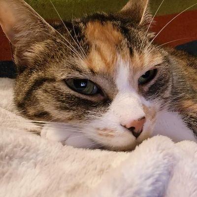 SilasOmar1's profile picture. get off my lawn