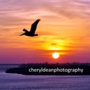 Cheryl Dean - @CherylDeanPhoto - Twitter