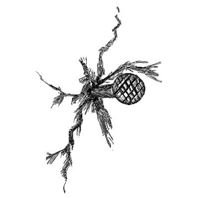 BoxRekt's profile picture. 10k rektboxes discarded on the blockchain containing memes, rugpulls,  cryptoscams. discord soon