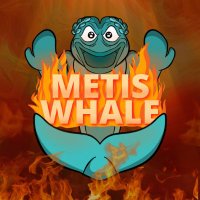The Metis Whale (@themetiswhale) 's Twitter Profile Photo The Metis Whale (@themetiswhale) 's Twitter Profile Photo