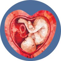 IMPACT Study(@IMPACT_placenta) 's Twitter Profile Photo