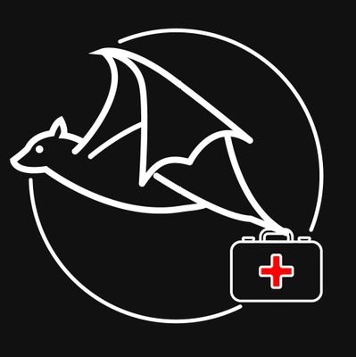 A non-profit, accredited organization providing worldwide rescue, rehabilitation, release and lifetime sanctuary for bats in need.