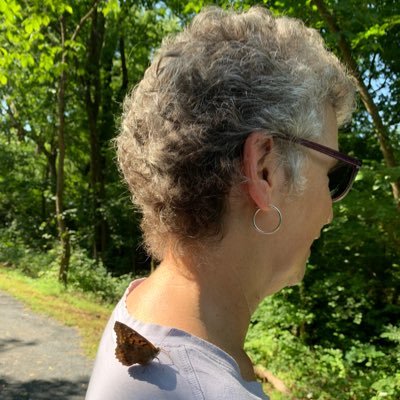 MCambardella's profile picture. Teacher: retired educator; loves family, friends, and nature; reader, writer, painter, foodie.