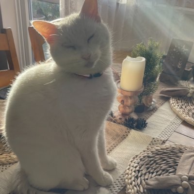 NoSkipp's profile picture. 