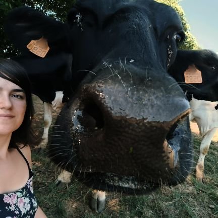 🐮🐷🐑🚜🌱Future agri, en Bretagne ☀️🪗
#KreizBreizh #Agribretagne #FrAgTw / Plus on est enraciné, plus on est universel - Eugène Guillevic