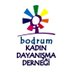 BKD-Bodrum Kadın Dayanışma Derneği (@BodrumKadin) Twitter profile photo