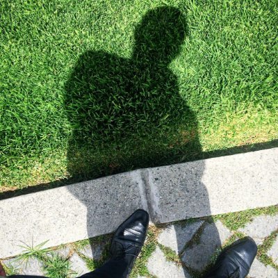 Actual_Legal's profile picture. 