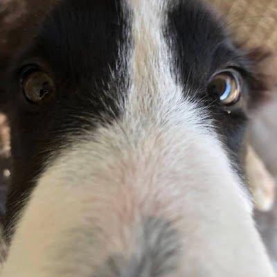 PaweekPaweek2's profile picture. 