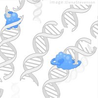 KCL Cancer Bioinformatics Group(@KCLCancerBioGrp) 's Twitter Profile Photo