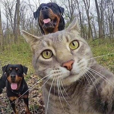 Feicancan's profile picture. 無處不在。